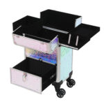 Βαλίτσα trolley TR-02 SILVER