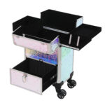 Βαλίτσα trolley TR-02 SILVER