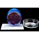 Σφραγίδα για στάμπες SP-22